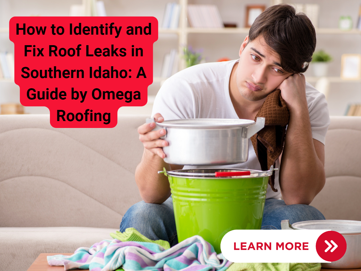 How To Identify And Fix Roof Leaks In Southern Idaho A Guide By Omega